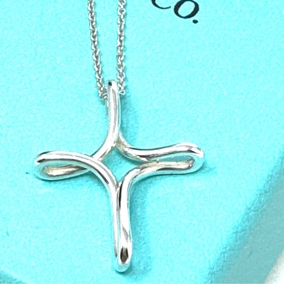 Authentic Tiffany & Co. Elsa Peretti Silver Infinity Necklace - Picture 6 of 15